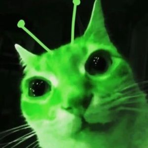 Meet your Posher, Lindsay